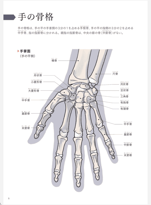 [已完成]手和腿的美术解剖学[132P]