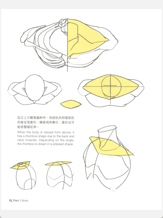 [已完成]韩国绘师的角色绘制重点攻略[215P]