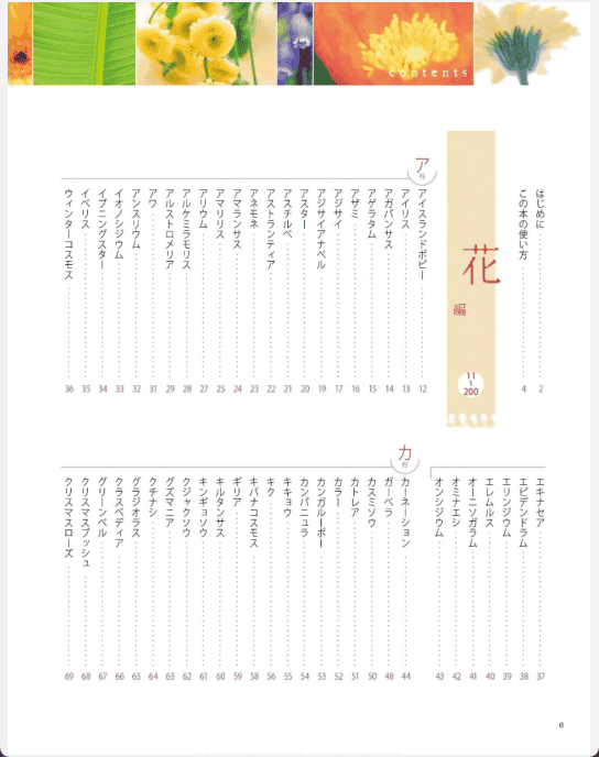 [已完成]花店人气植物469种[291P]