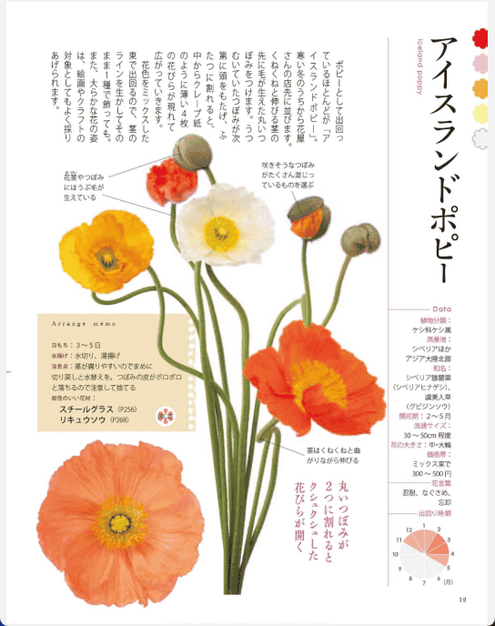 [已完成]花店人气植物469种[291P]