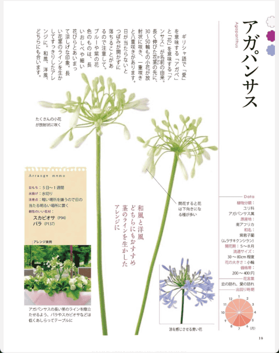 [已完成]花店人气植物469种[291P]