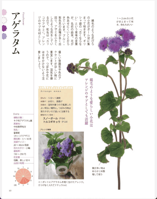 [已完成]花店人气植物469种[291P]