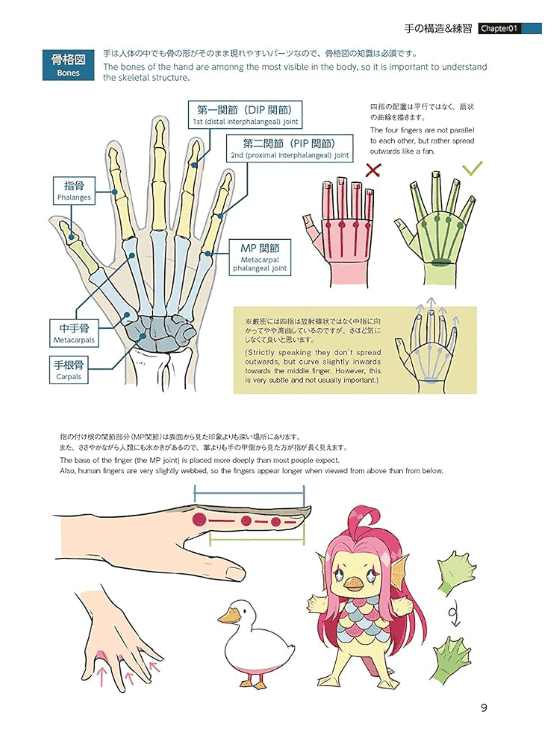 [互换中]手部姿势合集实用指南[159P]