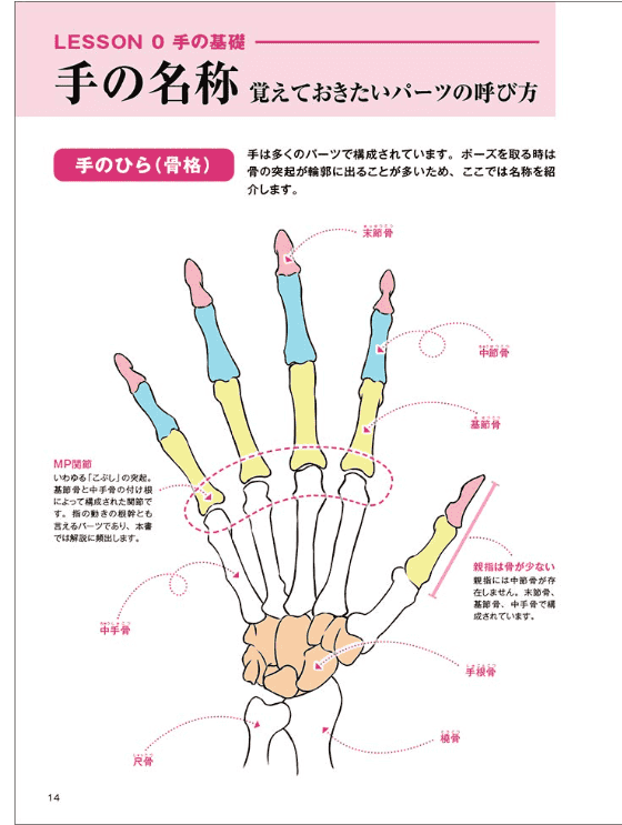 [互换中]美丽手部的绘制方法[160P]