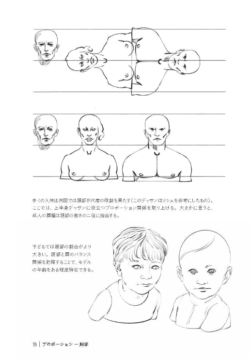 [互换中]头部和颈部的绘制[96P]