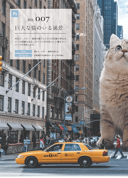 [互换中]Photoshop & Illustrator设计技巧大全[224P]