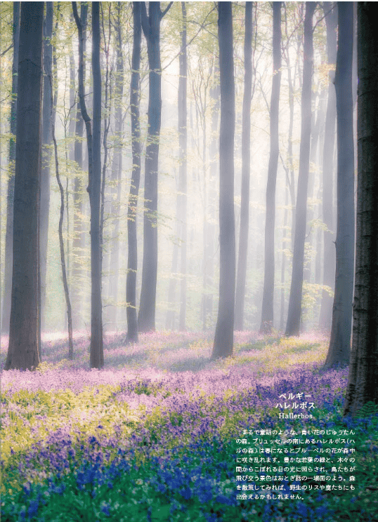 [互换中]世界：幻想与奇幻景象[128P]