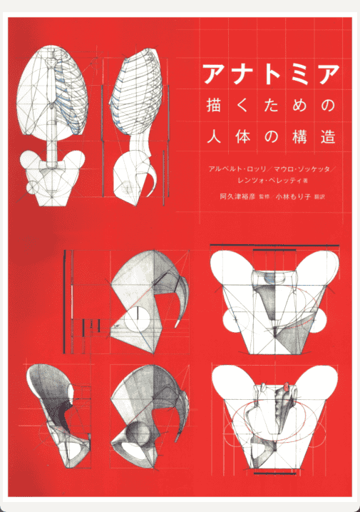 [已完成][近期下架]解剖学：人体结构绘图[184P]