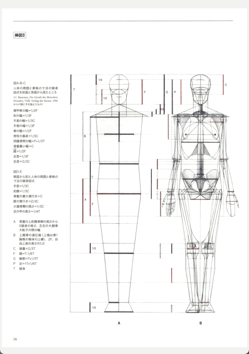 [已完成][近期下架]解剖学：人体结构绘图[184P]