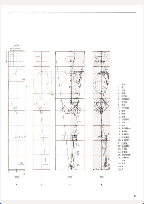 [已完成][近期下架]解剖学：人体结构绘图[184P]