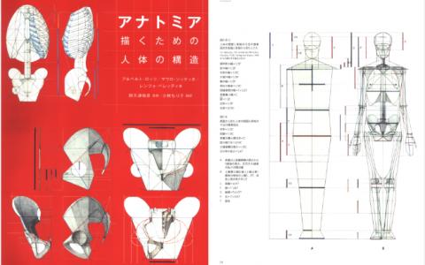 [已完成][近期下架]解剖学：人体结构绘图[184P]