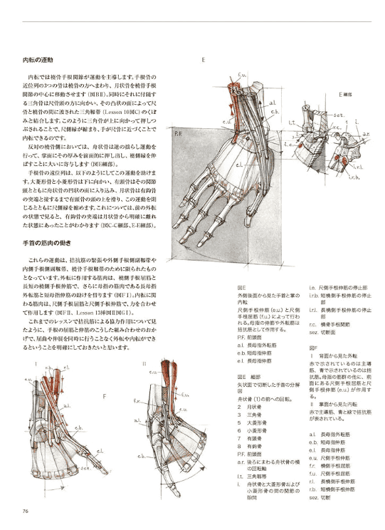 [已完成]解剖学：运动中的人体[264P]