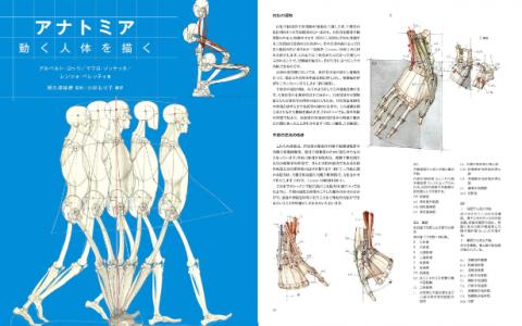 [已完成]解剖学：运动中的人体[264P]