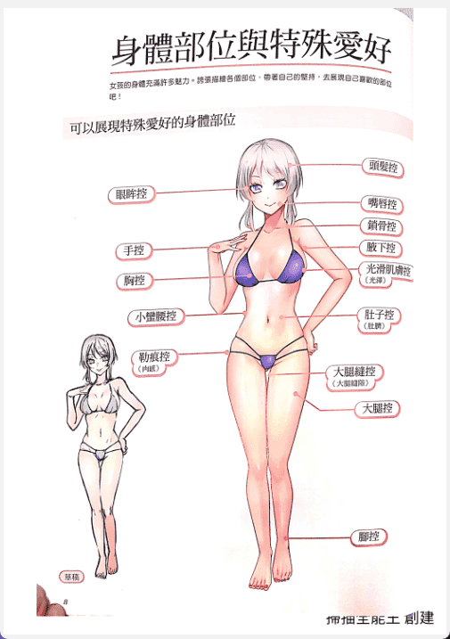 [已完成][近期下架]涂色事典：肉感角色[150P]