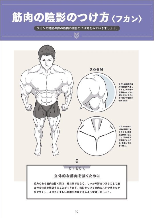 [已完成]肌肉的画法!通过部位了解结构并进行区分描绘[130P]