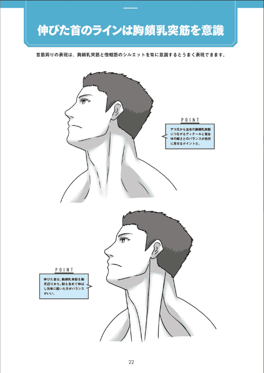 [已完成]肌肉的画法!通过部位了解结构并进行区分描绘[130P]