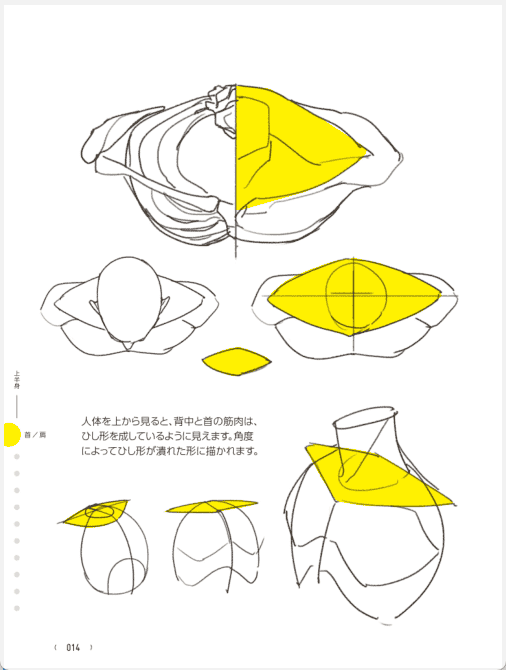 [已完成]TACO亲授！大幅提高绘画水平只需要掌握390 个人体绘画技巧[738P]