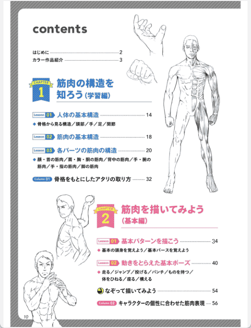 [Completed] Master Structure and Dynamics! Muscle Drawing Basics [148P]