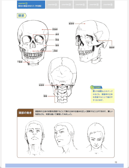 [Completed] Master Structure and Dynamics! Muscle Drawing Basics [148P]