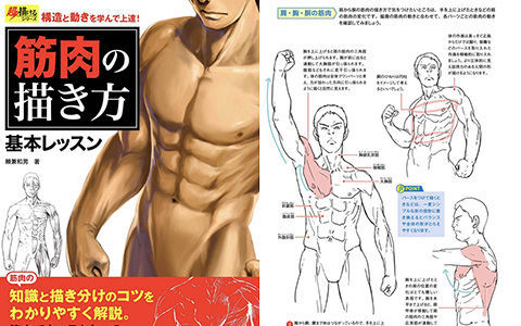 [Completed] Master Structure and Dynamics! Muscle Drawing Basics [148P]