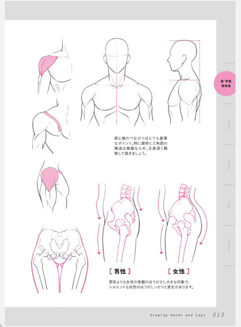 [已完成]完整解释 迅速提高! 手和脚的画法：让人物更逼真、更有活力[195P]