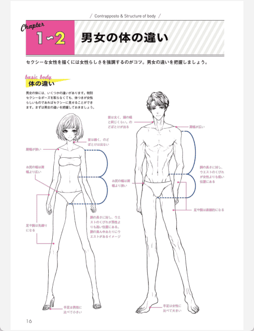[已完成]姿势与动作的画法 性感角色篇[148P]