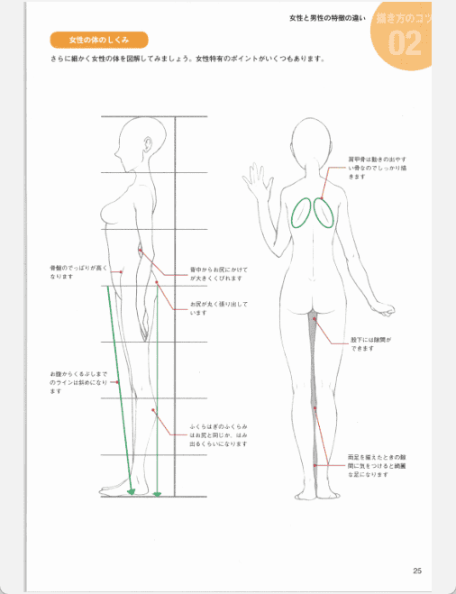 [已完成]姿势与动作的画法 东方Project篇 东方描技帖[172P]
