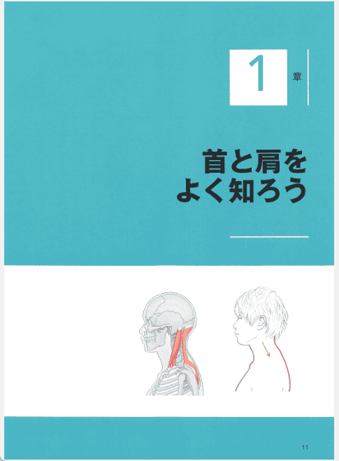 [已完成]通过照片图解理解脖子、肩膀、手腕的画法[163P]