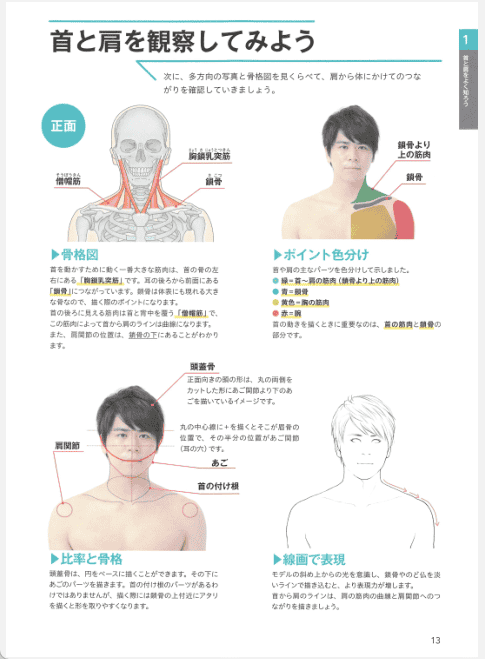 [已完成]通过照片图解理解脖子、肩膀、手腕的画法[163P]