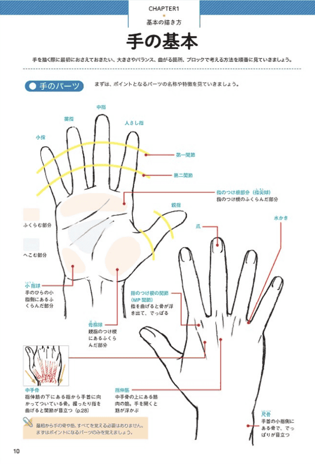 [已完成]加加美高浩全力教授“手”的画法 动人心弦的画风[74P]