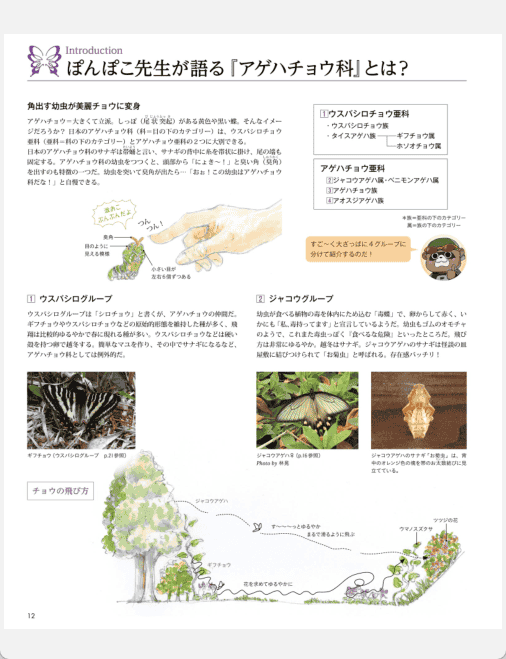 [已完成]美丽的蝴蝶图鉴 如果四季飞舞的蝴蝶是美少女的话…[163P]