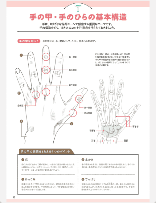 [已完成]手脚的画法 基础入门[148P]