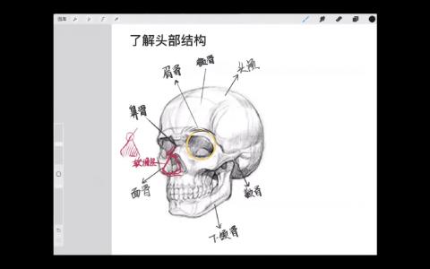 [课程中心]阿花零基础线稿第13期+水彩风Q版课+系统课第4期[高清画质]