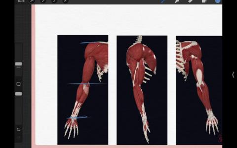 [课程中心]一木20周人体动态计划[高清画质]