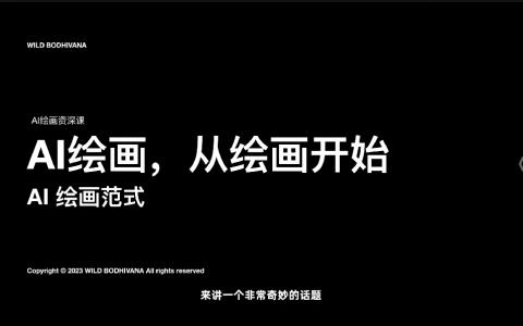 [课程中心]野菩萨AIGC双证进阶班2024[高清画质]