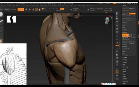 [课程中心]东哥次时代3D角色建模全流程第3期2024[高清画质]