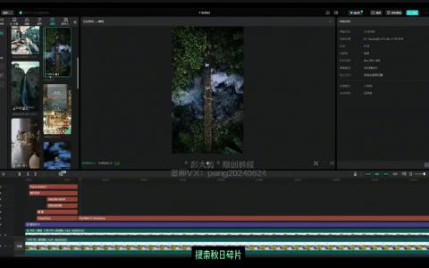 [课程中心]彭大剪商业剪辑全案拆解思维+实战2024[高清画质]