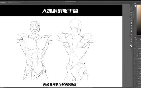 [课程中心]斯文怪兽2024角色造型与立绘基础研修课[高清画质]