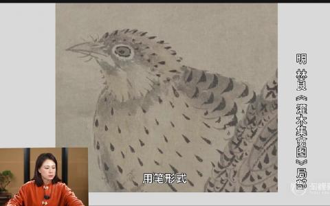 [课程中心]国画马啸羽陈淳写意花卉之墨花写生二十讲2024[高清画质]