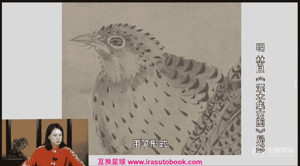 [课程中心]国画马啸羽陈淳写意花卉之墨花写生二十讲2024[高清画质]