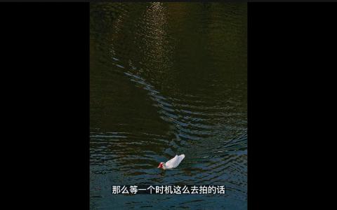 [课程中心]摄影眼养成36技+影像创作社区王建章的摄影课[高清画质]