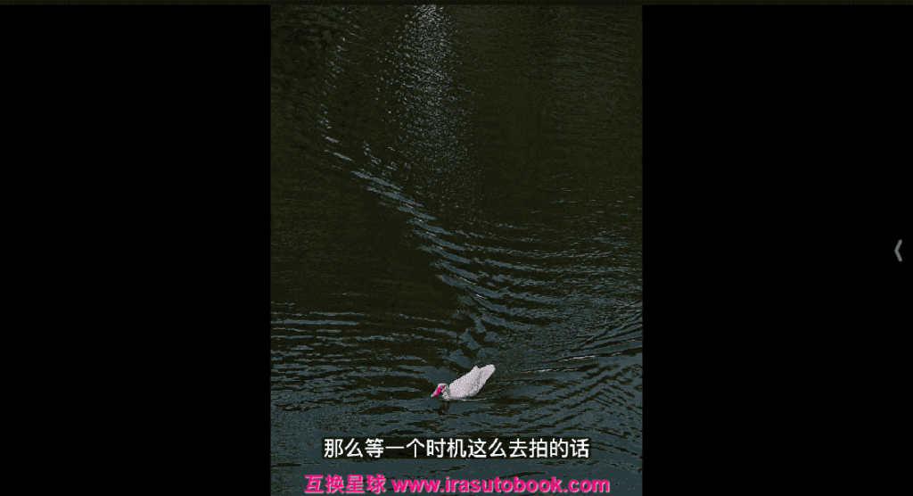 [课程中心]摄影眼养成36技+影像创作社区王建章的摄影课[高清画质]