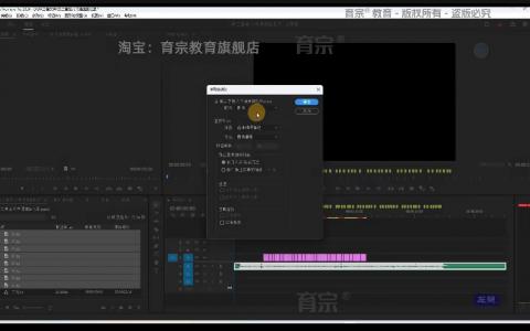 [课程中心]育宗教育Pr2024影视剪辑教程零基础入门[高清画质]