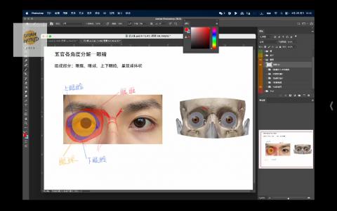 [课程中心]Xtop氛围感厚涂色彩人像系统课2024[高清画质]