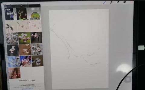 [课程中心]池汐2024ipad水彩花卉花时十二月历花[高清画质]