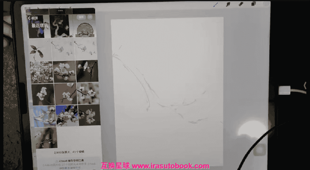 [课程中心]池汐2024ipad水彩花卉花时十二月历花[高清画质]