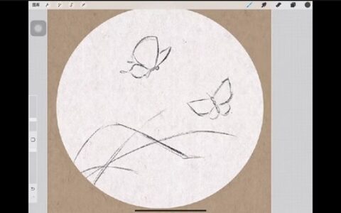 [课程中心]钟小朋友水墨花鸟团练课2024[高清画质]