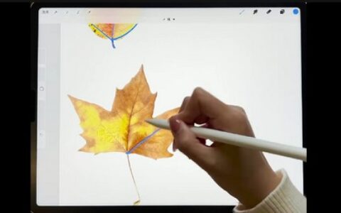 [课程中心]V脸喵清新iPad水彩9合1主题插画系统课[高清画质]