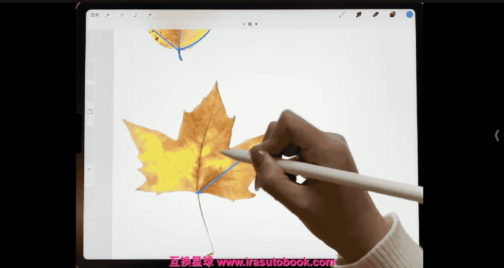 [课程中心]V脸喵清新iPad水彩9合1主题插画系统课[高清画质]