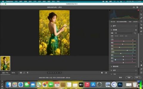 [课程中心]猫叔日记人像后期修图课2023[高清画质]